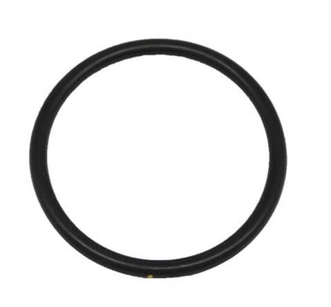 NSK O-ring 0312074080